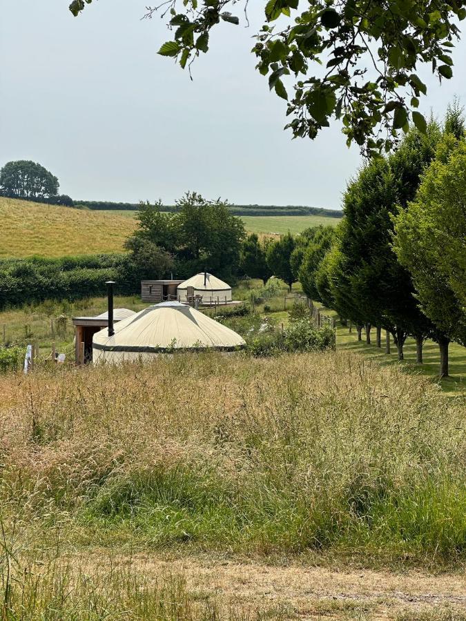 Bracken Yurt At Walnut Farm Glamping Hotel Netherbury Ngoại thất bức ảnh