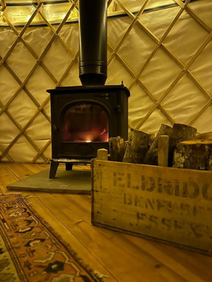Bracken Yurt At Walnut Farm Glamping Hotel Netherbury Ngoại thất bức ảnh